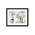 Picture of Fluffy Florals _GroupedProduct_Rectangle_Landscape_Photography _GroupedProduct_Rectangle_Landscape_Framed_Matted_