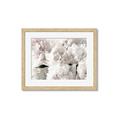 Picture of Fluffy Florals _GroupedProduct_Rectangle_Landscape_Photography _GroupedProduct_Rectangle_Landscape_Framed_Matted_