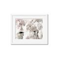 Picture of Fluffy Florals _GroupedProduct_Rectangle_Landscape_Photography _GroupedProduct_Rectangle_Landscape_Framed_Matted_