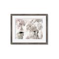Picture of Fluffy Florals _GroupedProduct_Rectangle_Landscape_Photography _GroupedProduct_Rectangle_Landscape_Framed_Matted_