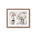 Picture of Fluffy Florals _GroupedProduct_Rectangle_Landscape_Photography _GroupedProduct_Rectangle_Landscape_Framed_Matted_