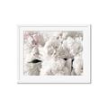 Picture of Fluffy Florals _GroupedProduct_Rectangle_Landscape_Photography _GroupedProduct_Rectangle_Landscape_Framed_Matted_
