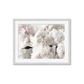 Picture of Fluffy Florals _GroupedProduct_Rectangle_Landscape_Photography _GroupedProduct_Rectangle_Landscape_Framed_Matted_