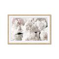 Picture of Fluffy Florals _GroupedProduct_Rectangle_Landscape_Photography _GroupedProduct_Rectangle_Landscape_Framed_Matted_
