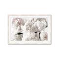 Picture of Fluffy Florals _GroupedProduct_Rectangle_Landscape_Photography _GroupedProduct_Rectangle_Landscape_Framed_Matted_