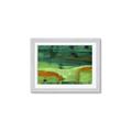 Picture of Eco Friendly II _GroupedProduct_Rectangle_Landscape_Framed_Matted_