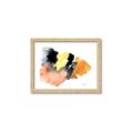Picture of Watercolor with Orange _GroupedProduct_Rectangle_Landscape_Framed_Matted_