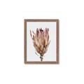 Picture of Dried Flower II _GroupedProduct_Rectangle_Portrait_Photography _GroupedProduct_Rectangle_Portrait_Framed_Matted_
