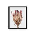 Picture of Dried Flower II _GroupedProduct_Rectangle_Portrait_Photography _GroupedProduct_Rectangle_Portrait_Framed_Matted_