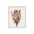 Picture of Dried Flower II _GroupedProduct_Rectangle_Portrait_Photography _GroupedProduct_Rectangle_Portrait_Framed_Matted_