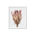 Picture of Dried Flower II _GroupedProduct_Rectangle_Portrait_Photography _GroupedProduct_Rectangle_Portrait_Framed_Matted_