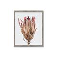 Picture of Dried Flower II _GroupedProduct_Rectangle_Portrait_Photography _GroupedProduct_Rectangle_Portrait_Framed_Matted_