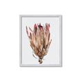Picture of Dried Flower II _GroupedProduct_Rectangle_Portrait_Photography _GroupedProduct_Rectangle_Portrait_Framed_Matted_