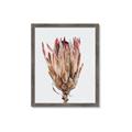 Picture of Dried Flower II _GroupedProduct_Rectangle_Portrait_Photography _GroupedProduct_Rectangle_Portrait_Framed_Matted_