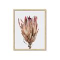 Picture of Dried Flower II _GroupedProduct_Rectangle_Portrait_Photography _GroupedProduct_Rectangle_Portrait_Framed_Matted_