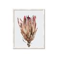 Picture of Dried Flower II _GroupedProduct_Rectangle_Portrait_Photography _GroupedProduct_Rectangle_Portrait_Framed_Matted_