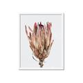 Picture of Dried Flower II _GroupedProduct_Rectangle_Portrait_Photography _GroupedProduct_Rectangle_Portrait_Framed_Matted_