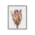 Picture of Dried Flower II _GroupedProduct_Rectangle_Portrait_Photography _GroupedProduct_Rectangle_Portrait_Framed_Matted_