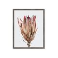 Picture of Dried Flower II _GroupedProduct_Rectangle_Portrait_Photography _GroupedProduct_Rectangle_Portrait_Framed_Matted_