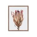 Picture of Dried Flower II _GroupedProduct_Rectangle_Portrait_Photography _GroupedProduct_Rectangle_Portrait_Framed_Matted_
