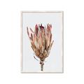 Picture of Dried Flower II _GroupedProduct_Rectangle_Portrait_Photography _GroupedProduct_Rectangle_Portrait_Framed_Matted_
