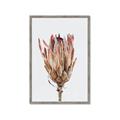 Picture of Dried Flower II _GroupedProduct_Rectangle_Portrait_Photography _GroupedProduct_Rectangle_Portrait_Framed_Matted_