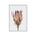Picture of Dried Flower II _GroupedProduct_Rectangle_Portrait_Photography _GroupedProduct_Rectangle_Portrait_Framed_Matted_