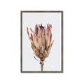 Picture of Dried Flower II _GroupedProduct_Rectangle_Portrait_Photography _GroupedProduct_Rectangle_Portrait_Framed_Matted_