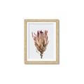 Picture of Dried Flower II _GroupedProduct_Rectangle_Portrait_Photography _GroupedProduct_Rectangle_Portrait_Framed_Matted_
