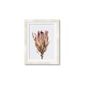 Picture of Dried Flower II _GroupedProduct_Rectangle_Portrait_Photography _GroupedProduct_Rectangle_Portrait_Framed_Matted_
