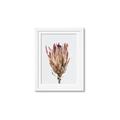 Picture of Dried Flower II _GroupedProduct_Rectangle_Portrait_Photography _GroupedProduct_Rectangle_Portrait_Framed_Matted_