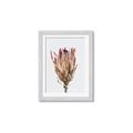 Picture of Dried Flower II _GroupedProduct_Rectangle_Portrait_Photography _GroupedProduct_Rectangle_Portrait_Framed_Matted_