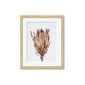 Picture of Dried Flower II _GroupedProduct_Rectangle_Portrait_Photography _GroupedProduct_Rectangle_Portrait_Framed_Matted_