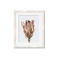 Picture of Dried Flower II _GroupedProduct_Rectangle_Portrait_Photography _GroupedProduct_Rectangle_Portrait_Framed_Matted_