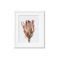 Picture of Dried Flower II _GroupedProduct_Rectangle_Portrait_Photography _GroupedProduct_Rectangle_Portrait_Framed_Matted_