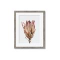 Picture of Dried Flower II _GroupedProduct_Rectangle_Portrait_Photography _GroupedProduct_Rectangle_Portrait_Framed_Matted_
