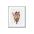 Picture of Dried Flower II _GroupedProduct_Rectangle_Portrait_Photography _GroupedProduct_Rectangle_Portrait_Framed_Matted_