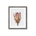 Picture of Dried Flower II _GroupedProduct_Rectangle_Portrait_Photography _GroupedProduct_Rectangle_Portrait_Framed_Matted_