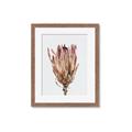 Picture of Dried Flower II _GroupedProduct_Rectangle_Portrait_Photography _GroupedProduct_Rectangle_Portrait_Framed_Matted_