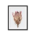 Picture of Dried Flower II _GroupedProduct_Rectangle_Portrait_Photography _GroupedProduct_Rectangle_Portrait_Framed_Matted_