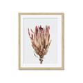 Picture of Dried Flower II _GroupedProduct_Rectangle_Portrait_Photography _GroupedProduct_Rectangle_Portrait_Framed_Matted_