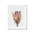 Picture of Dried Flower II _GroupedProduct_Rectangle_Portrait_Photography _GroupedProduct_Rectangle_Portrait_Framed_Matted_
