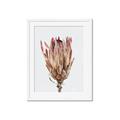 Picture of Dried Flower II _GroupedProduct_Rectangle_Portrait_Photography _GroupedProduct_Rectangle_Portrait_Framed_Matted_