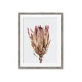 Picture of Dried Flower II _GroupedProduct_Rectangle_Portrait_Photography _GroupedProduct_Rectangle_Portrait_Framed_Matted_