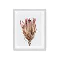Picture of Dried Flower II _GroupedProduct_Rectangle_Portrait_Photography _GroupedProduct_Rectangle_Portrait_Framed_Matted_