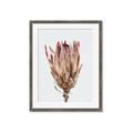 Picture of Dried Flower II _GroupedProduct_Rectangle_Portrait_Photography _GroupedProduct_Rectangle_Portrait_Framed_Matted_