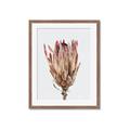 Picture of Dried Flower II _GroupedProduct_Rectangle_Portrait_Photography _GroupedProduct_Rectangle_Portrait_Framed_Matted_