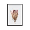 Picture of Dried Flower II _GroupedProduct_Rectangle_Portrait_Photography _GroupedProduct_Rectangle_Portrait_Framed_Matted_