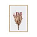 Picture of Dried Flower II _GroupedProduct_Rectangle_Portrait_Photography _GroupedProduct_Rectangle_Portrait_Framed_Matted_