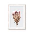 Picture of Dried Flower II _GroupedProduct_Rectangle_Portrait_Photography _GroupedProduct_Rectangle_Portrait_Framed_Matted_